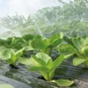 SOGO Insektnet til planter - 2,1 x 4,5 meter