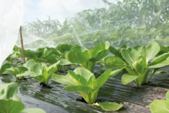 SOGO Insektnet til planter - 2,1 x 4,5 meter