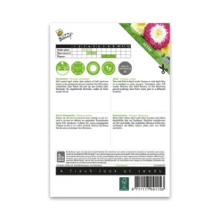 Sommerasters frø, "pompom" - mix