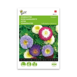 Sommerasters frø, "pompom" - mix