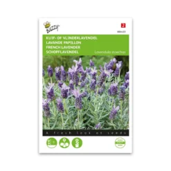 Sommerfuglelavendel frø