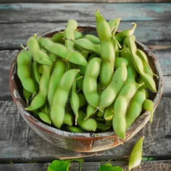 Soyabønne frø, Edamame
