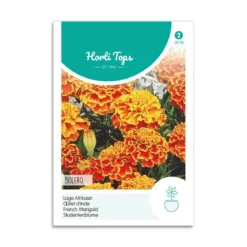 Tagetes frø "Bolero"
