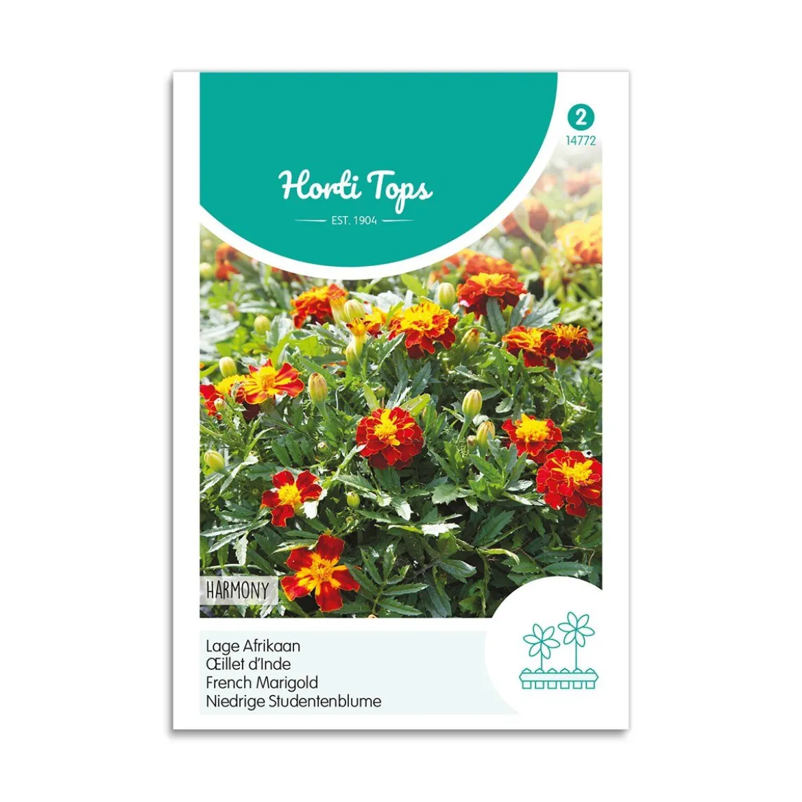 Tagetes frø "Harmony"