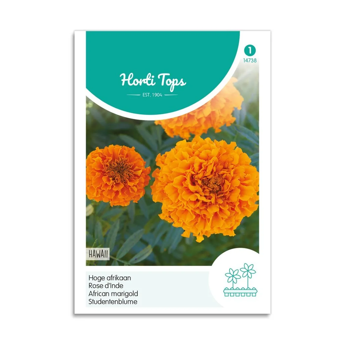 Tagetes frø "Hawaii"