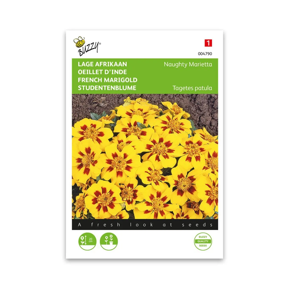 Tagetes frø "Naughty Marietta"