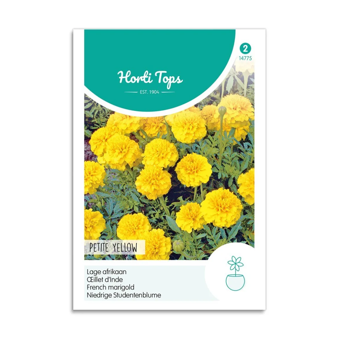 Tagetes frø "Petite Yellow"
