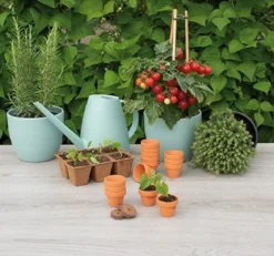 Terracottapotter 4/5 cm - 12 stk