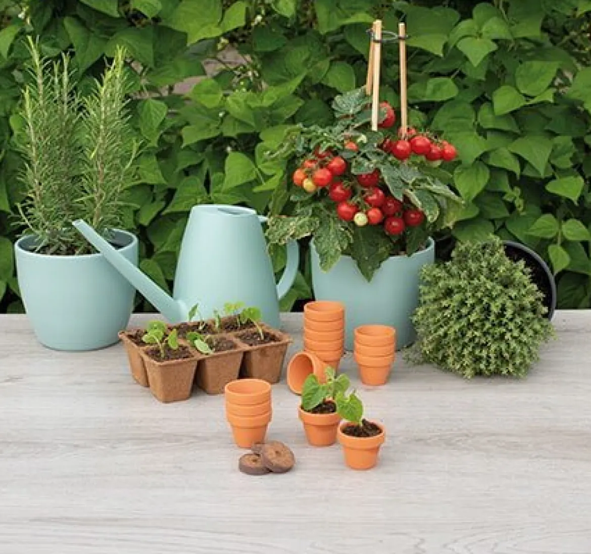 Terracottapotter 4/5 cm - 12 stk