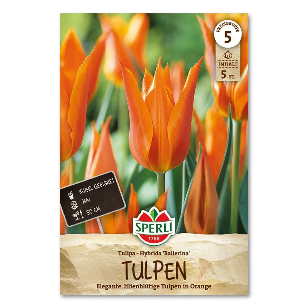 Tulipan 'Ballerina'