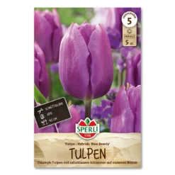 Tulipan 'Blue Beauty'