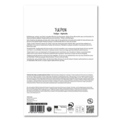 Tulipan 'Flair'