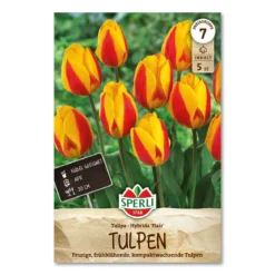 Tulipan 'Flair'