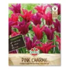 Tulipan 'Pink Charme'