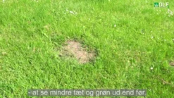 Turfline" Turbo" græsfrø - 7,5 kg.