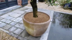 Ukrudtsmåtte kokos, 30 cm - 3 stk.