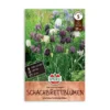 Vibeæg, Fritillaria Meleagris - 15 løg