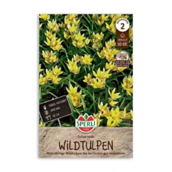 Vild dværgtulipan, Tulipa tarda - 10 løg