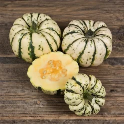 Vintersquash frø, Sweet Dumpling